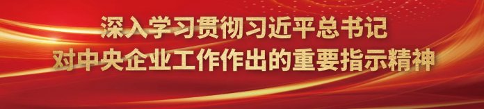 法定代表人