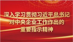 众赢计划国际版下载新手怎么玩举行20